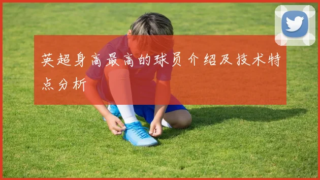 英超身高最高的球员介绍及技术特点分析