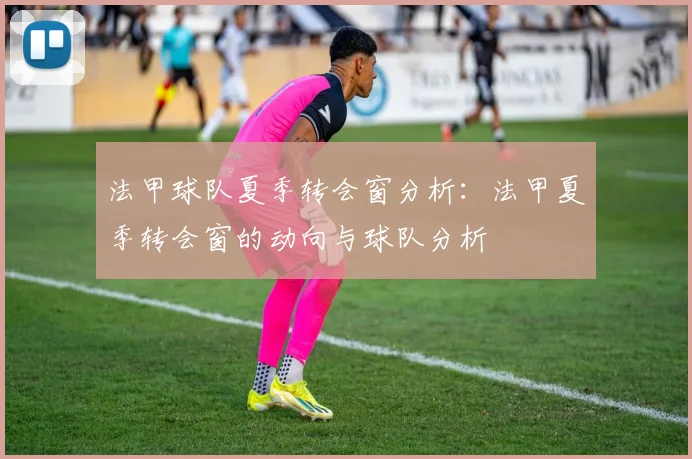 法甲球队夏季转会窗分析：法甲夏季转会窗的动向与球队分析