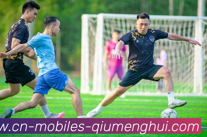 球盟会平台生态图